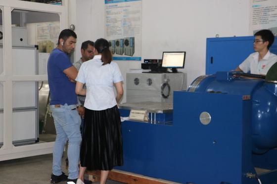 Büyük Kuvvet Elektrodinamiği Yüksek Frekanslı Titreşim Çalkalayıcı Tablosu 100g Hızlanma