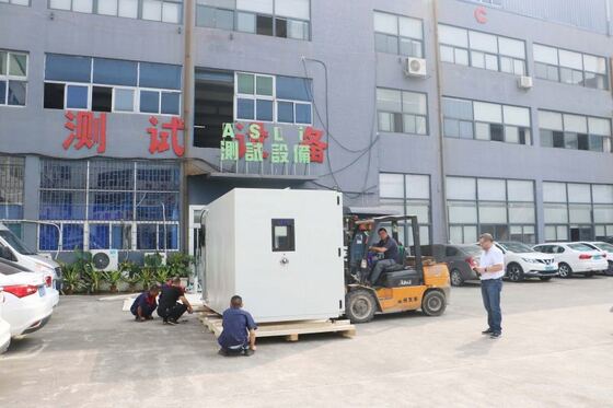 Walk-In İklim Test Odası | Çevresel Simülasyon İçin Büyük Sıcaklık Nem Odası