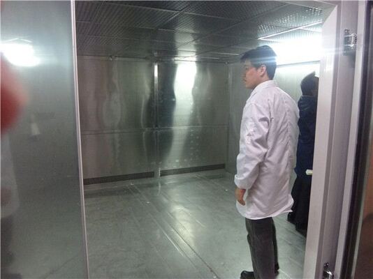 Walk-In İklim Test Odası | Çevresel Simülasyon İçin Büyük Sıcaklık Nem Odası